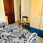 Geko's House