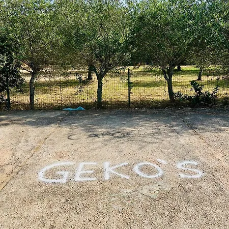 Geko's House